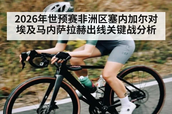 2026年世预赛非洲区塞内加尔对埃及马内萨拉赫出线关键战分析 | kaiyun