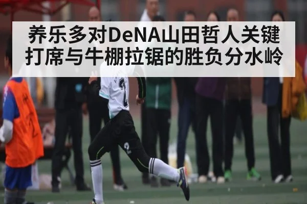 养乐多对DeNA山田哲人关键打席与牛棚拉锯的胜负分水岭 - kaiyun
